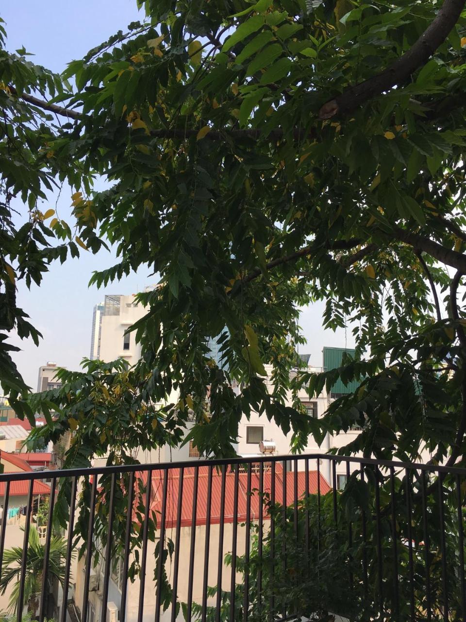 Palmo Hotel & Apartment 2 Hanoi Kültér fotó